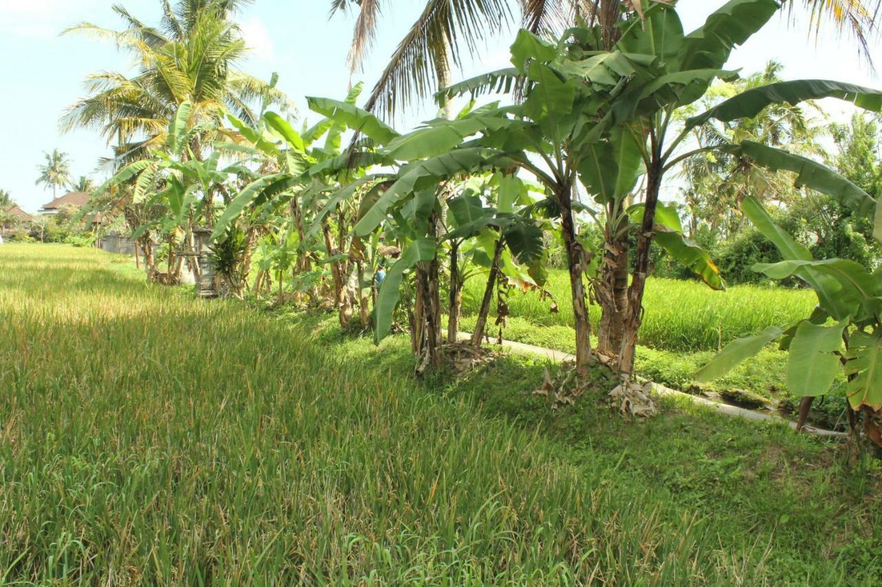 Ubud River Campuhan Villa Dış mekan fotoğraf