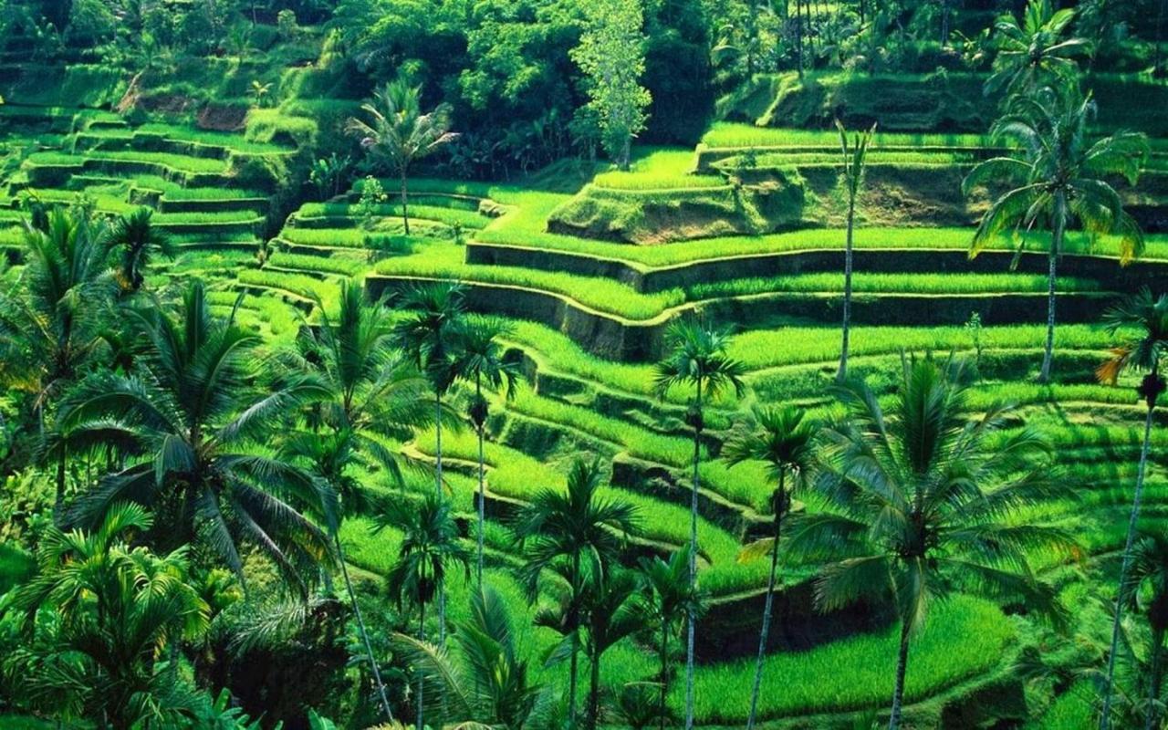 Ubud River Campuhan Villa Dış mekan fotoğraf